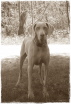 Amelie...erst mal gucken (20.06.07 - 21.09.15) Amelie...erst mal gucken (20.06.07 - 21.09.15)