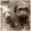 Biene & Maja Biene & Maja