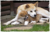 ... und Kiko mit ihrer Tochter Anuk ... und Kiko mit ihrer Tochter Anuk