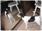 ... die "doppelte" Lucy ... ... die "doppelte" Lucy ...