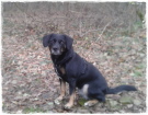 Lucy Lucy