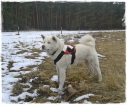 Yuki... After-Trail-Shooting Yuki... After-Trail-Shooting