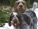 Antonio mit Bruder Nello Antonio mit Bruder Nello