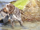 Gibt´s da was Spannendes? Gibt´s da was Spannendes?