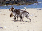 Strandspaziergang Strandspaziergang