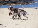 Strandspaziergang