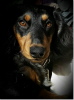 unser Luitpold unser Luitpold