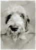 Nello... 12 Jahre Nello... 12 Jahre