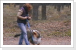 Itchy...voll dabei Itchy...voll dabei