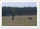 Rückruf funzt schon ... Rückruf funzt schon ...