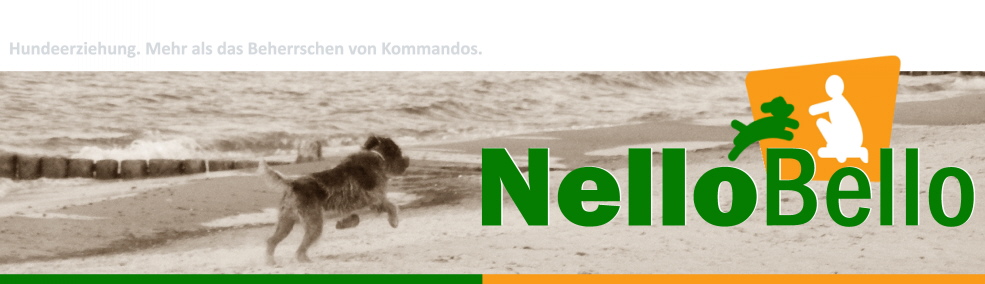Angebot der Hundeschule NelloBello